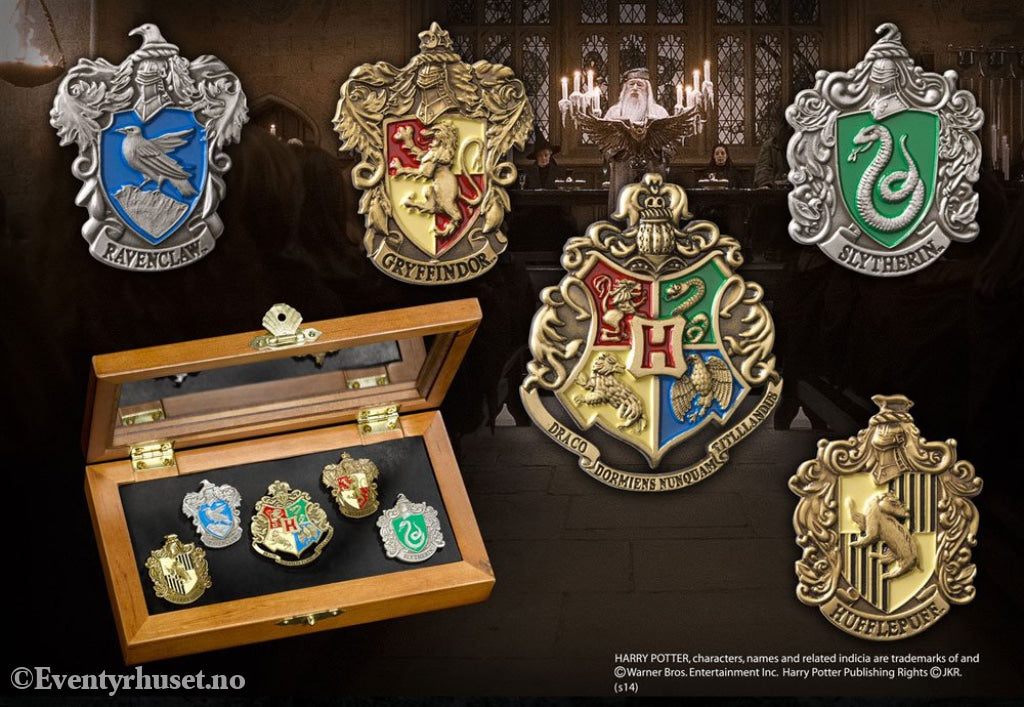 Harry Potter Pin Collection Hogwarts Houses (5) Home & Gifts