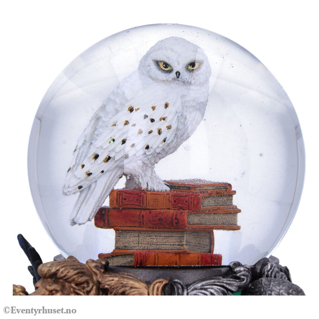 Harry Potter Snow Globe Hedwig 18 cm Collectibles