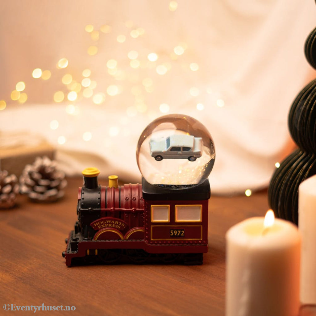 Harry Potter Snow Globe Home & Gifts