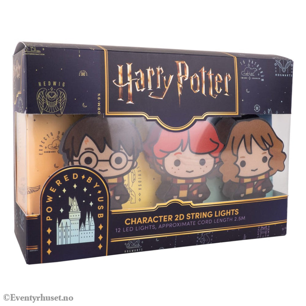 Harry Potter String Lights 2D Letter of Acceptance & Hedwig Home & Gifts