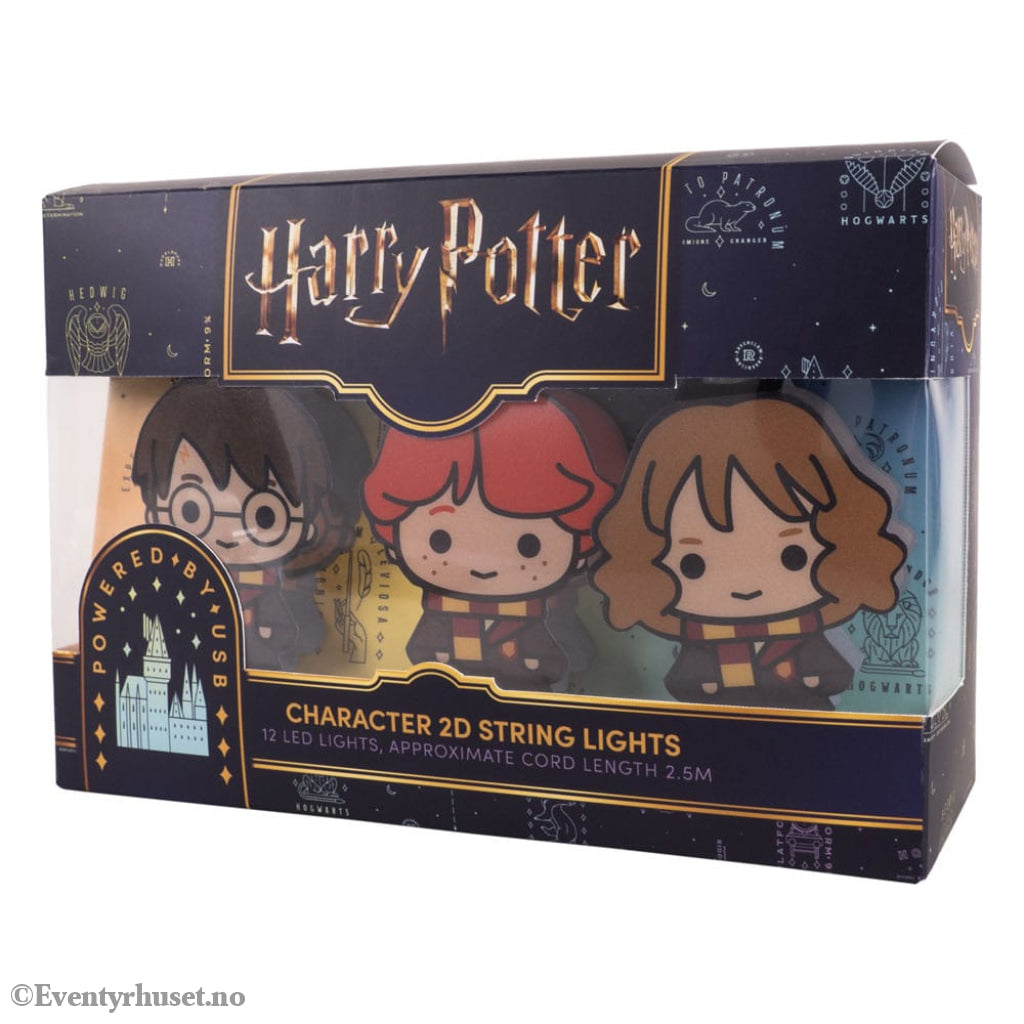 Harry Potter String Lights 2D Letter of Acceptance & Hedwig Home & Gifts