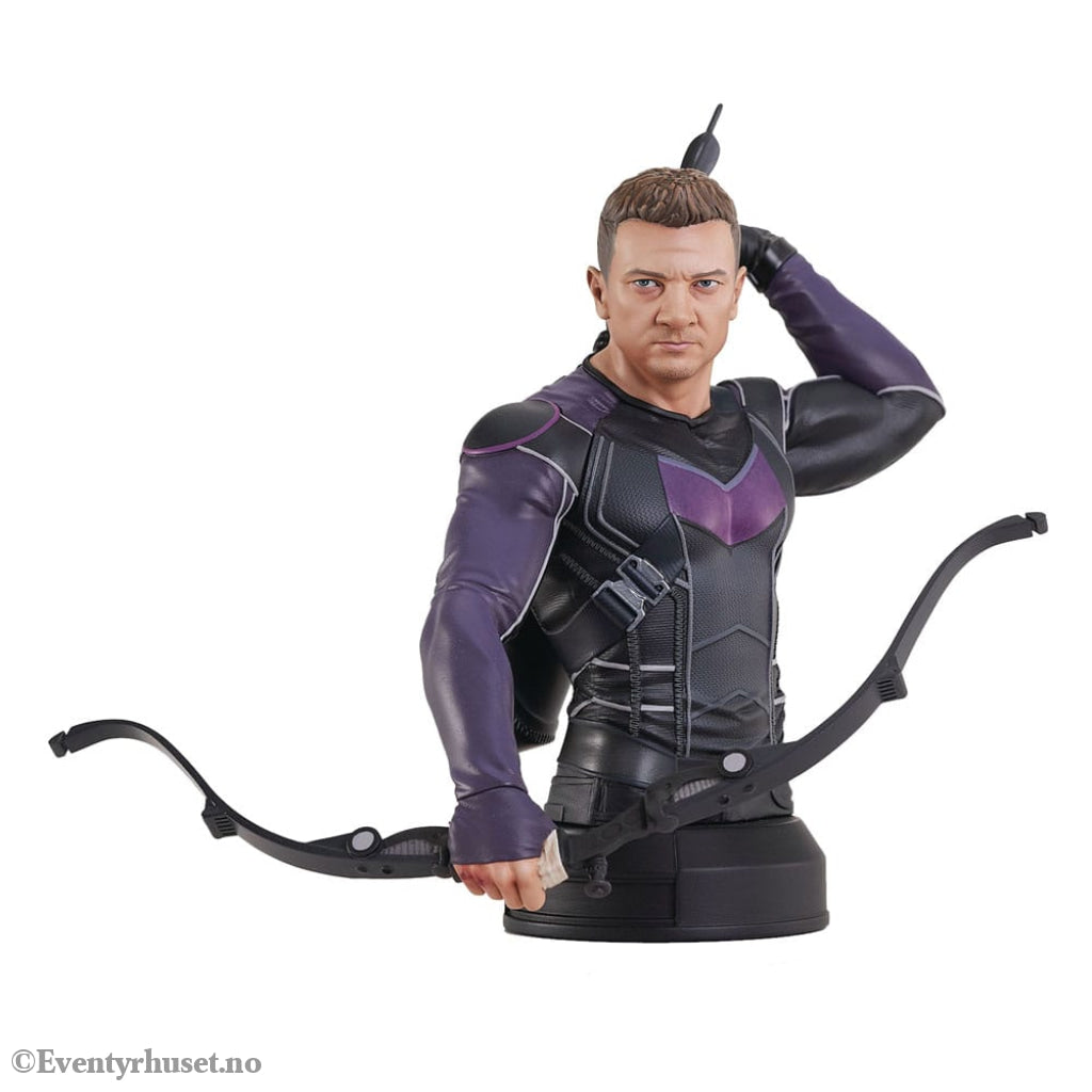 Hawkeye Bust 1/6 Hawkeye 15 cm Collectibles