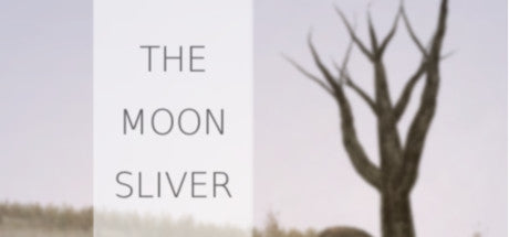 The Moon Sliver Steam CD Key