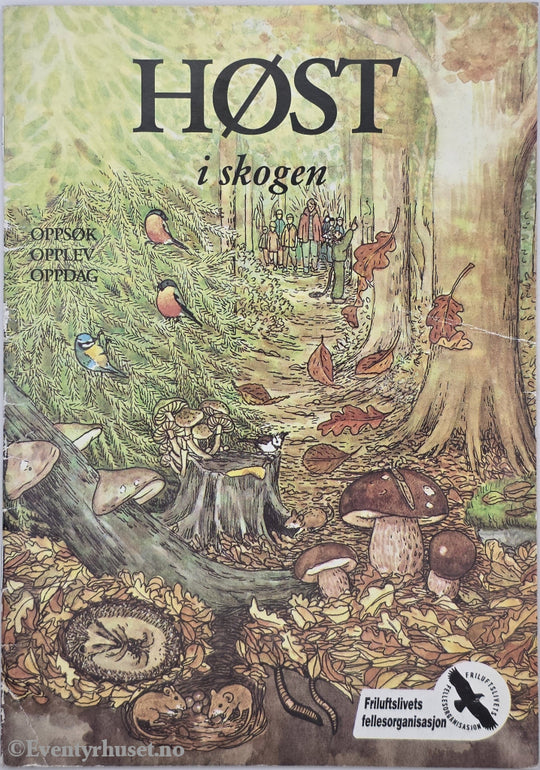 Høst i skogen. . Hefte.