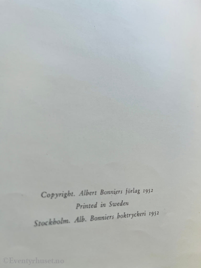 Hugo Hamilton. För barn och barnbarn. Bok.