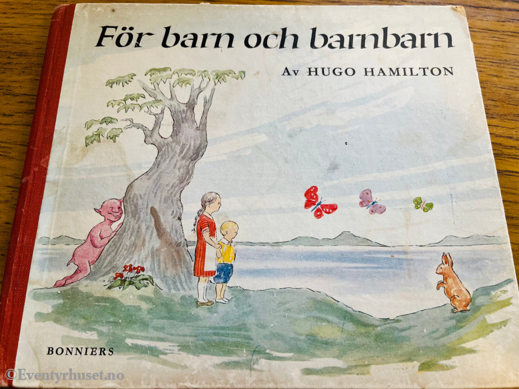 Hugo Hamilton. För barn och barnbarn. Bok.