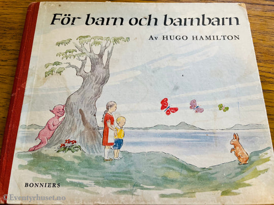 Hugo Hamilton. För barn och barnbarn. Bok.