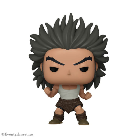 Hunter x Hunter POP! Animation Vinyl Figure Uvogin 9 cm Manga & Anime