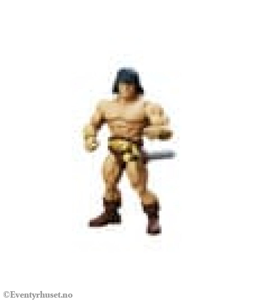 Immortal Champions Action Figure Conan the Barbarian 14 cm. New in box! Actionfigur