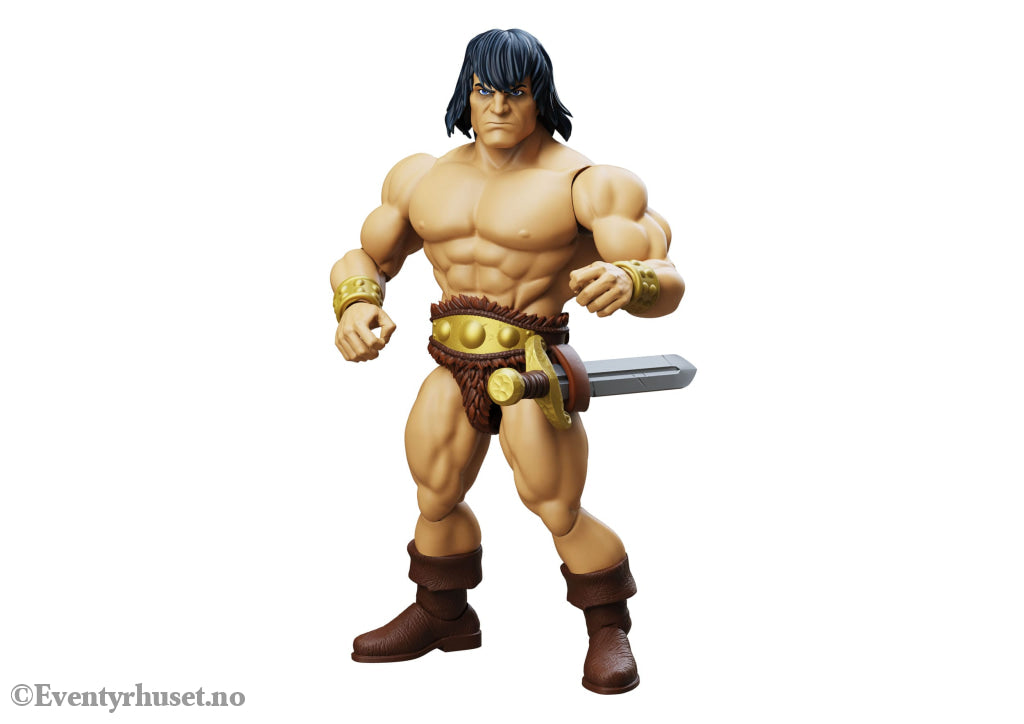 Immortal Champions Action Figure Conan the Barbarian 14 cm. New in box! Actionfigur