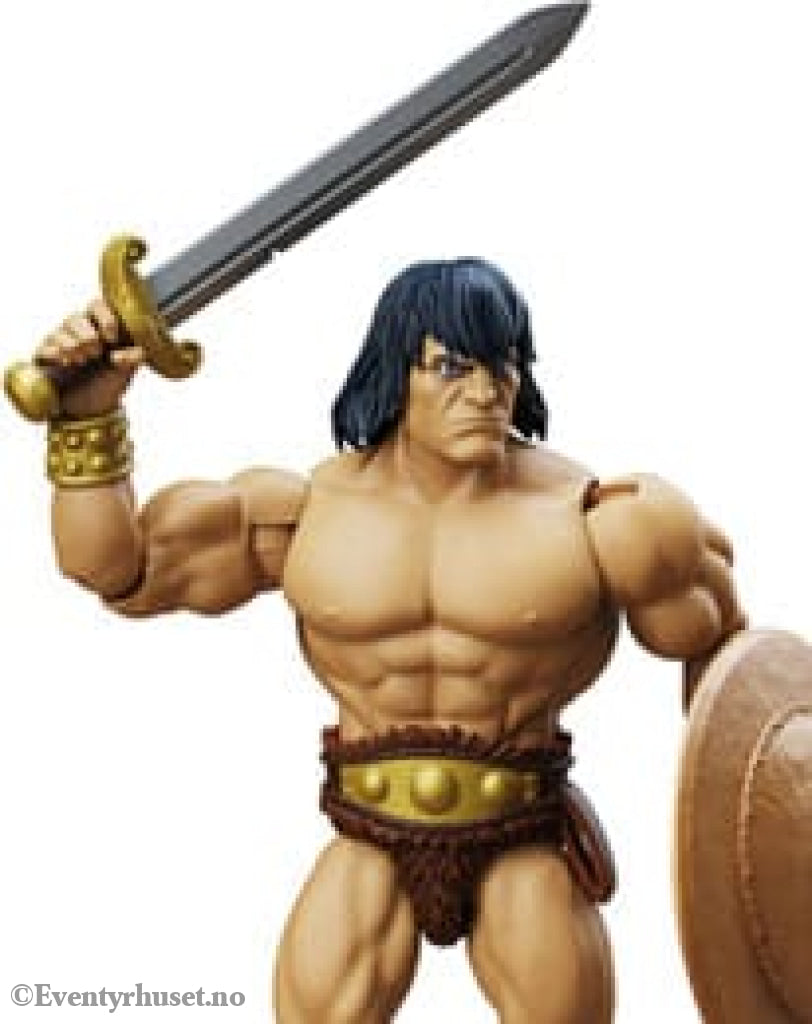 Immortal Champions Action Figure Conan the Barbarian 14 cm. New in box! Actionfigur