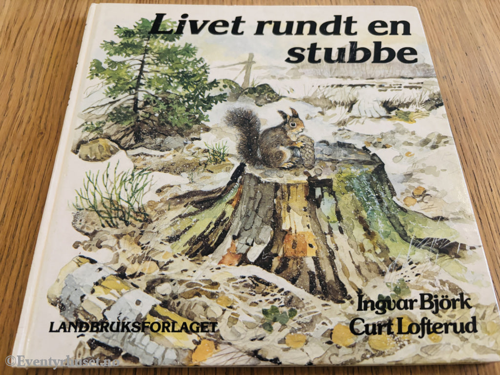 Ingvar Björk og Curt Lofterud. Livet rundt en stubbe.