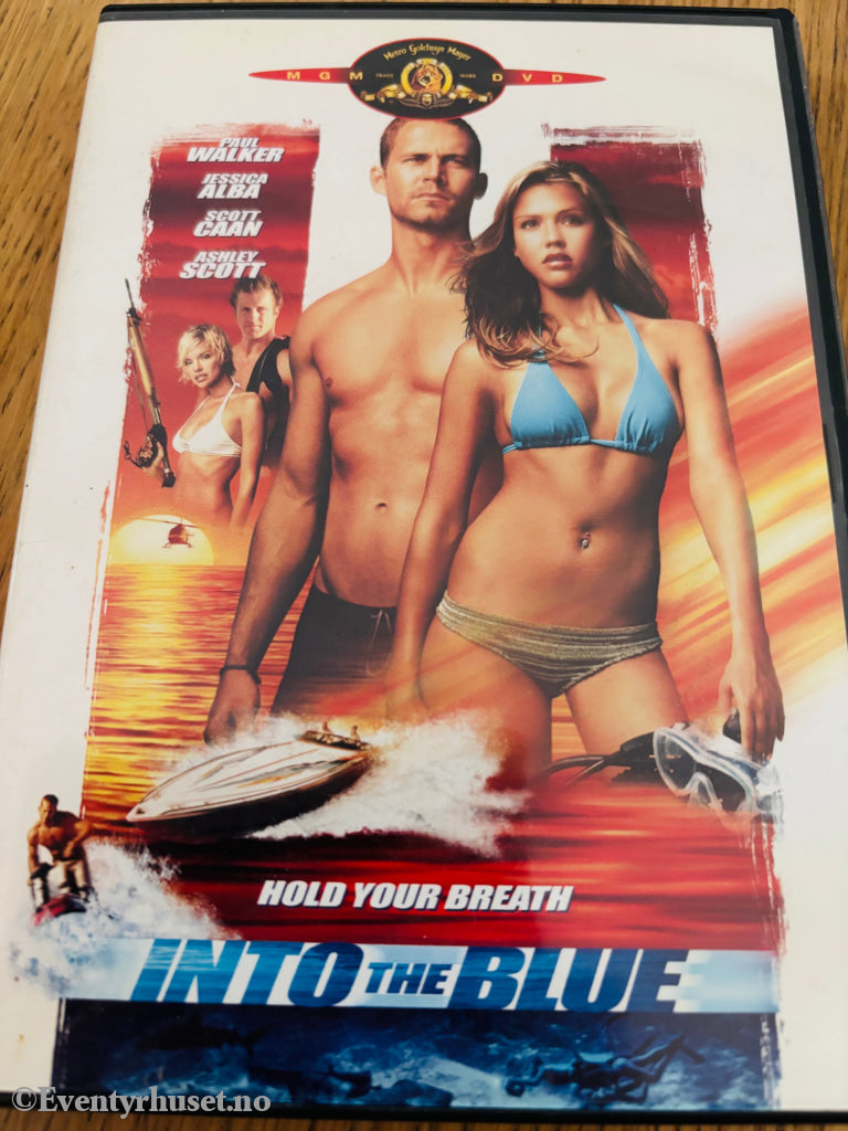 Into the Blue. DVD.