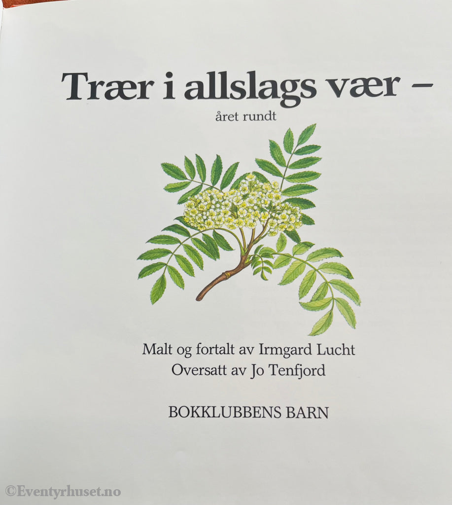 Irmgard Lucht. 1978/84. Trær I Allslags Vær - Året Rundt. Fortelling