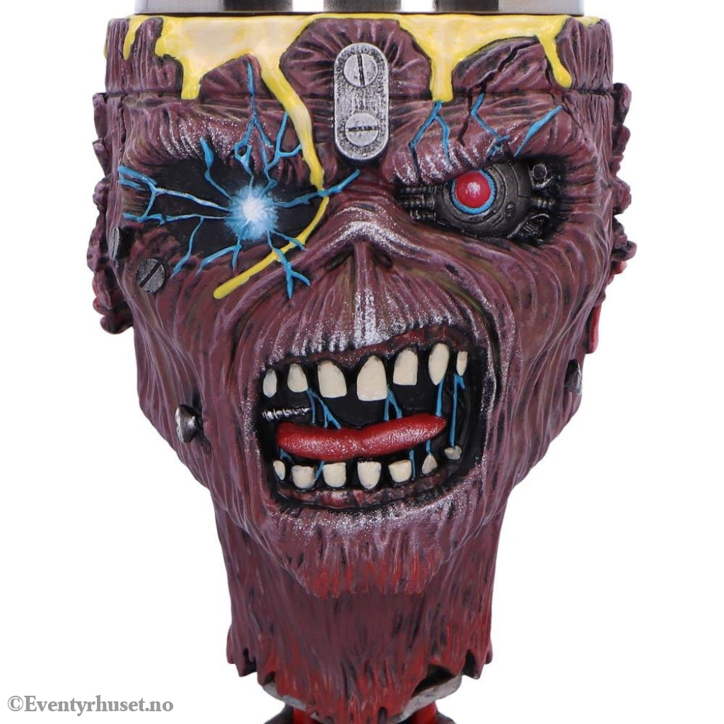Iron Maiden Goblet Can I Play With Madness Home & Gifts