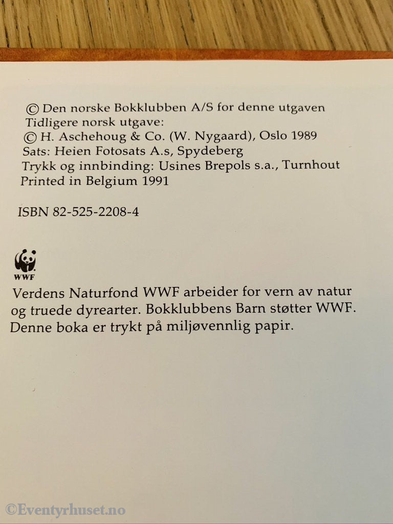 Jan Kjærstad & Vivian Zahl Olsen. 1989/91. Jakten På De Skjulte Vaffelhjertene. Fortelling