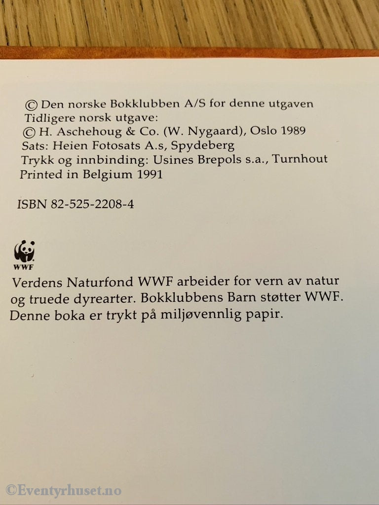 Jan Kjærstad & Vivian Zahl Olsen. 1989/91. Jakten På De Skjulte Vaffelhjertene. Fortelling