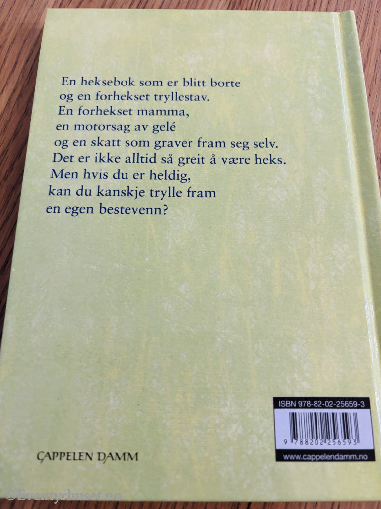 Jana Frey. Lesepirater – Annabellas heksebok. Bok.