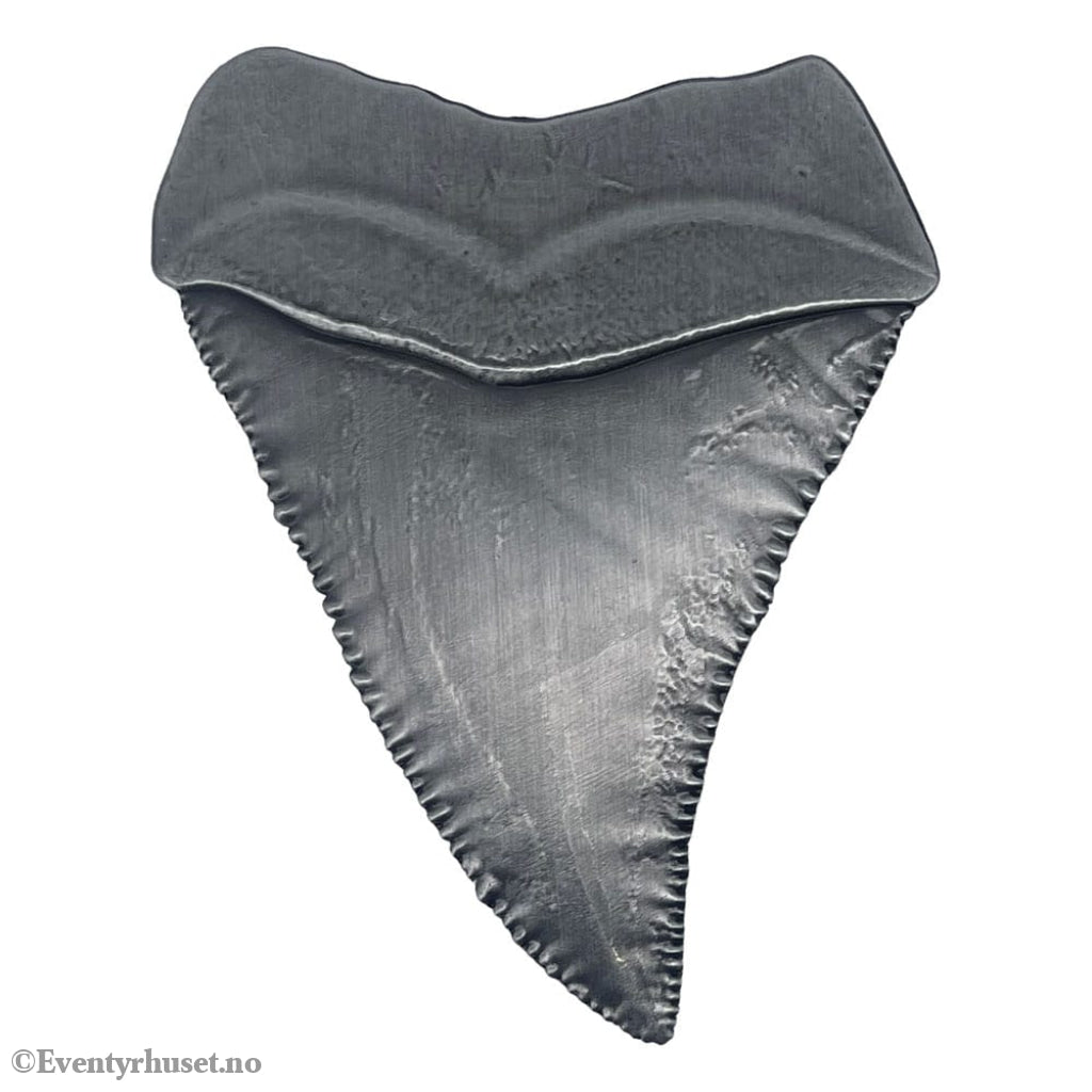 Jaws Medallion 50th Anniversary Shark Tooth Collectibles