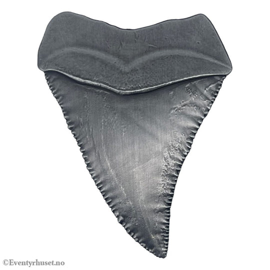 Jaws Medallion 50th Anniversary Shark Tooth Collectibles