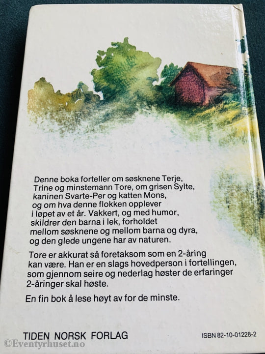Jo Lie. 1976. Terje Trine Og Minstemann Tore. Fortelling