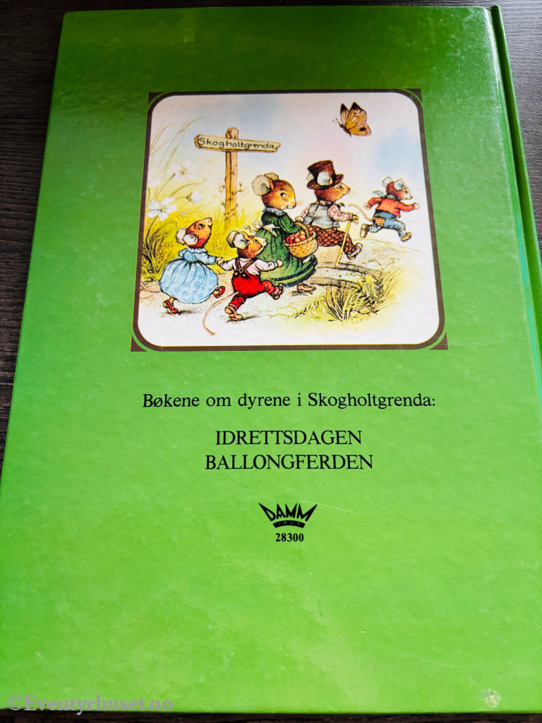 John Patience – Idrettsdagen. Bok.