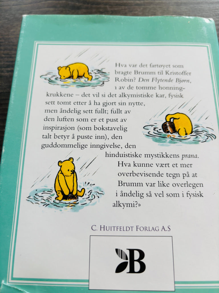 John Tyerman Williams – Brumm og Mystikerne. Bok.