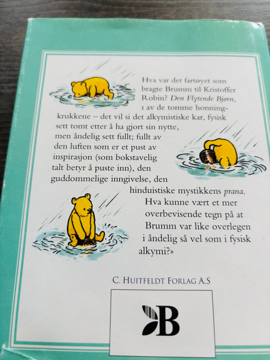 John Tyerman Williams – Brumm og Mystikerne. Bok.