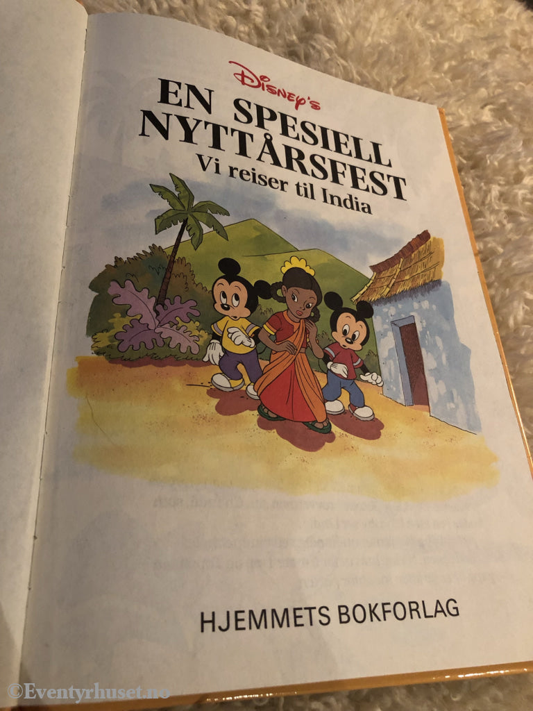 Jorden Rundt Med Disneys Beste. 1993/95. En Spesiell Nyttårsfest. Vi Reiser Til India. Fortelling