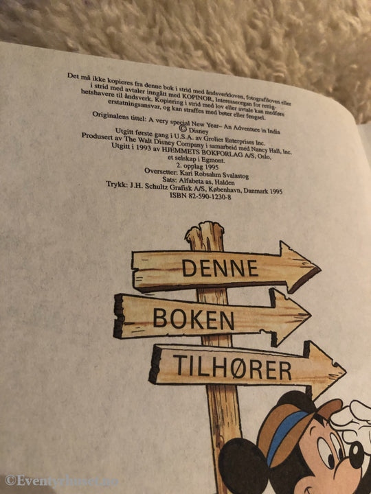 Jorden Rundt Med Disneys Beste. 1993/95. En Spesiell Nyttårsfest. Vi Reiser Til India. Fortelling