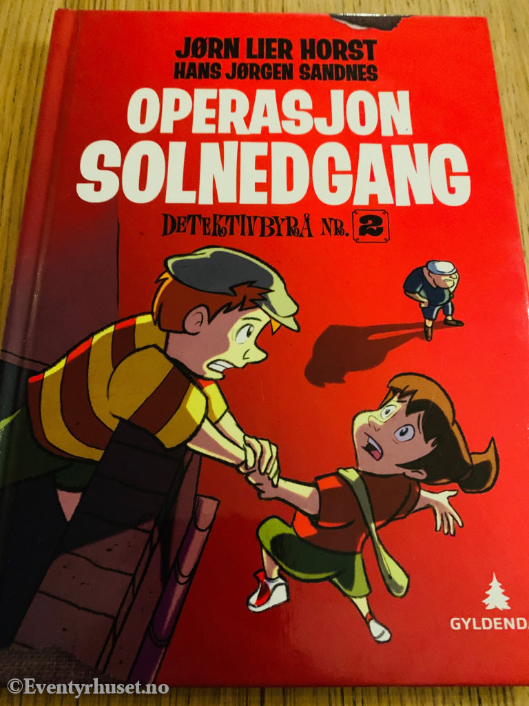 Jørn Lier Horst & Hans Jørgen Sandnes. 2021. Operasjon Solnedgang. Bok.