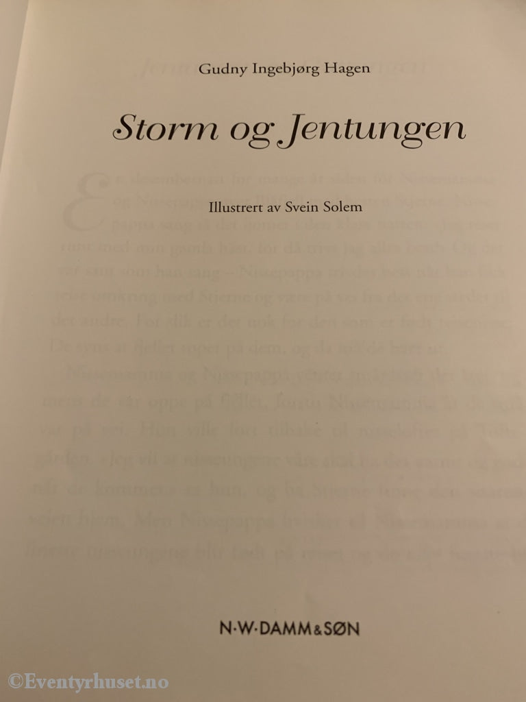 Jul I Månetoppen. Storm Og Jentungen. 2005. Fortelling