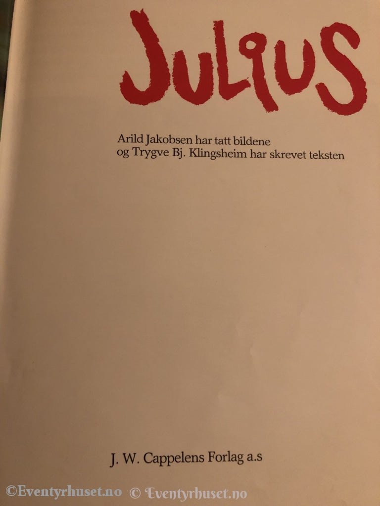 Julius. 1983. Fortelling