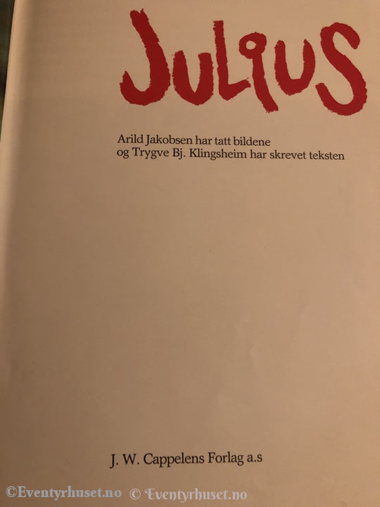 Julius. 1983. Fortelling