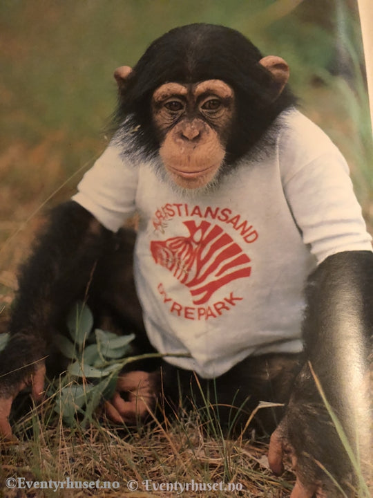 Julius. 1983. Fortelling