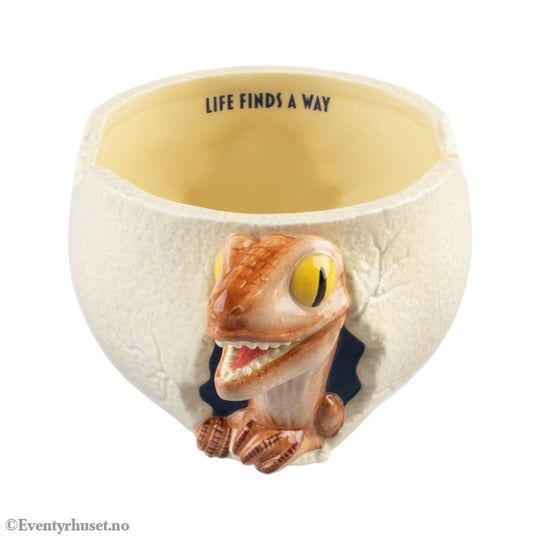 Jurassic Park 3D Bowl Home & Gifts