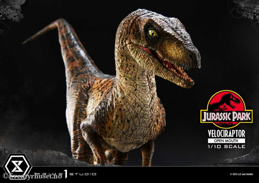 Jurassic Park Prime Collectibles Statue 1/10 Velociraptor Open Mouth 19 cm Collectibles