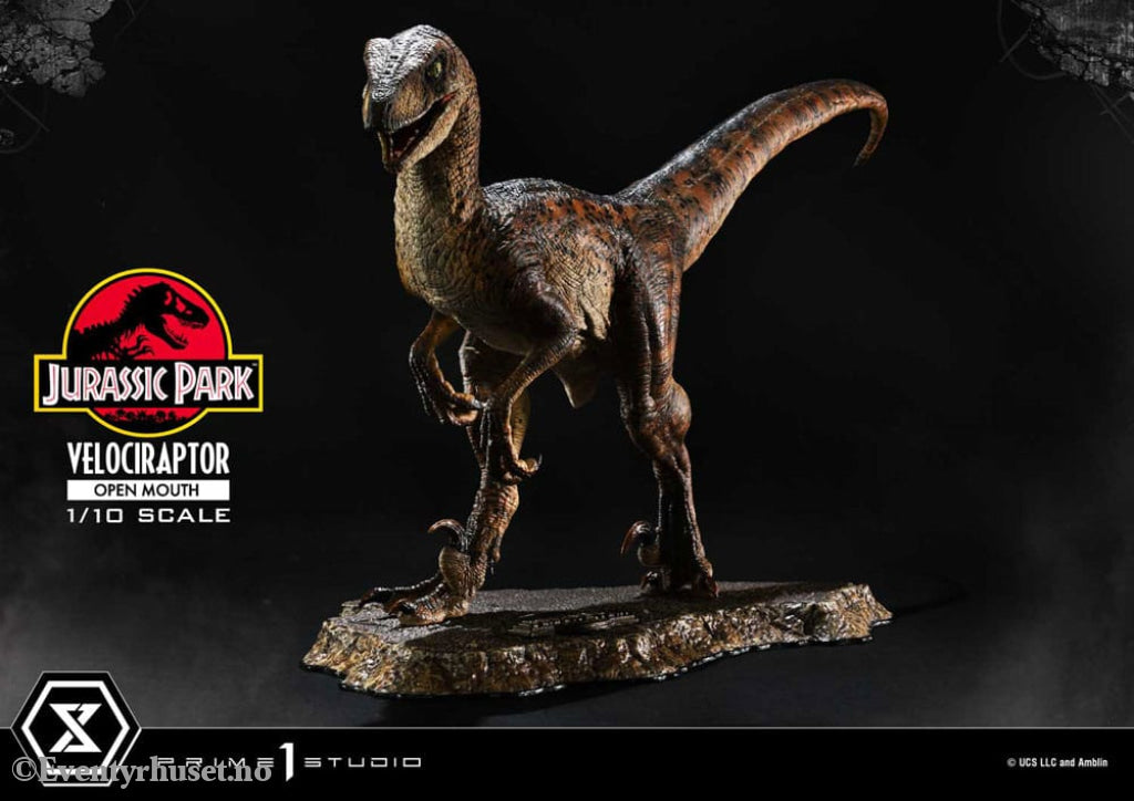 Jurassic Park Prime Collectibles Statue 1/10 Velociraptor Open Mouth 19 cm Collectibles