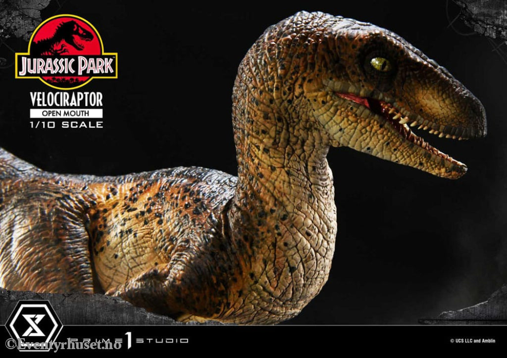 Jurassic Park Prime Collectibles Statue 1/10 Velociraptor Open Mouth 19 cm Collectibles