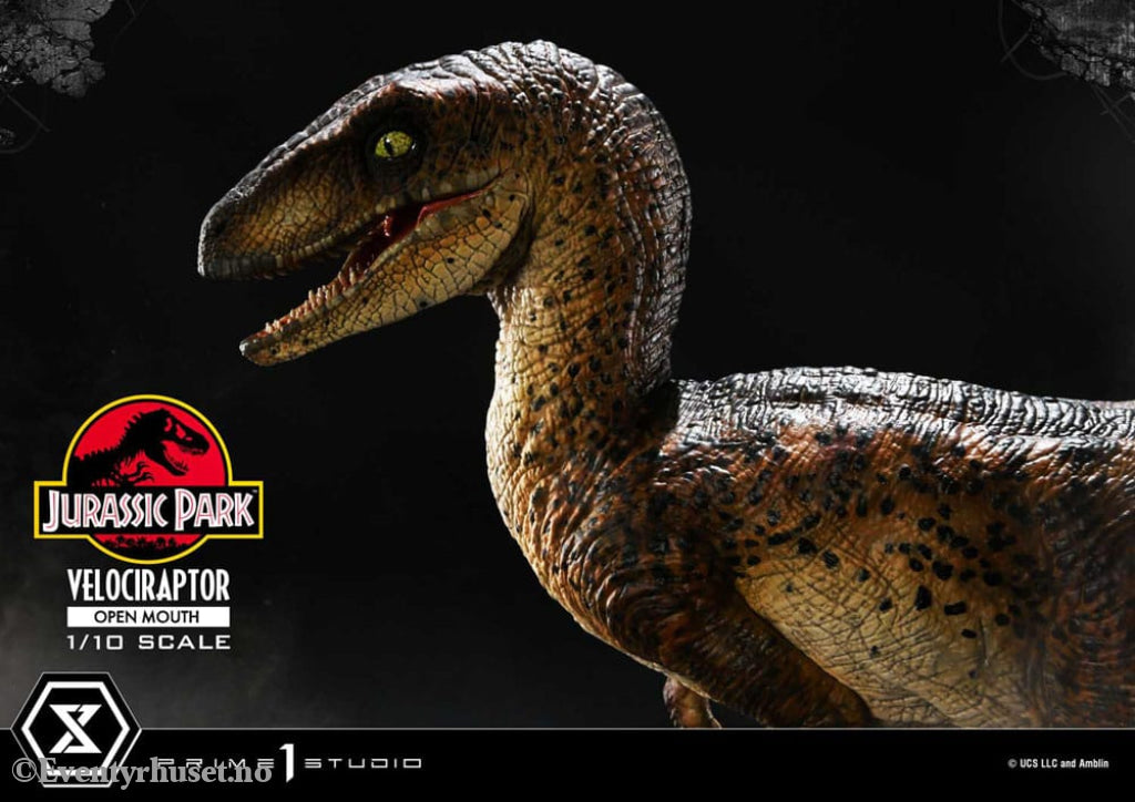 Jurassic Park Prime Collectibles Statue 1/10 Velociraptor Open Mouth 19 cm Collectibles