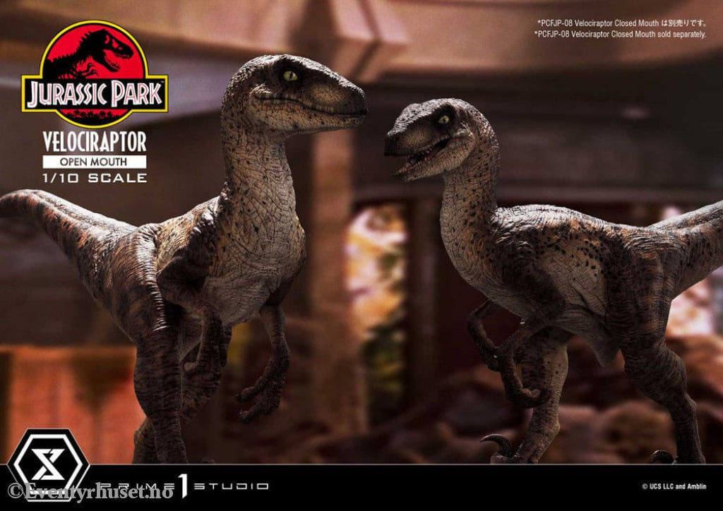 Jurassic Park Prime Collectibles Statue 1/10 Velociraptor Open Mouth 19 cm Collectibles