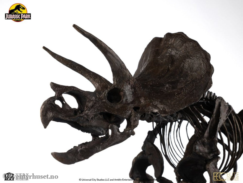 Jurassic World ECC Elite Creature Line Statue 1/12 Triceratops Fossil Skeleton Bronze 33 cm Collectibles