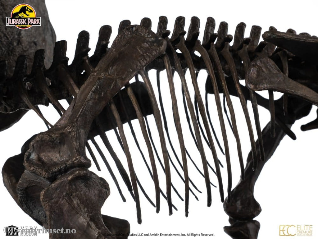 Jurassic World ECC Elite Creature Line Statue 1/12 Triceratops Fossil Skeleton Bronze 33 cm Collectibles