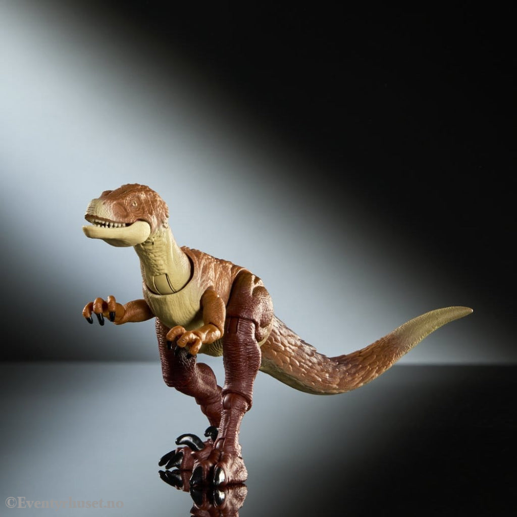 Jurassic World Hammond Collection Action Figure Ornitholestes Collectibles