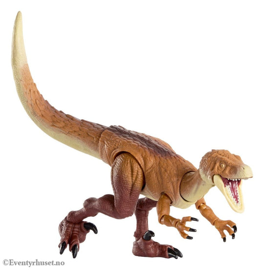 Jurassic World Hammond Collection Action Figure Ornitholestes Collectibles