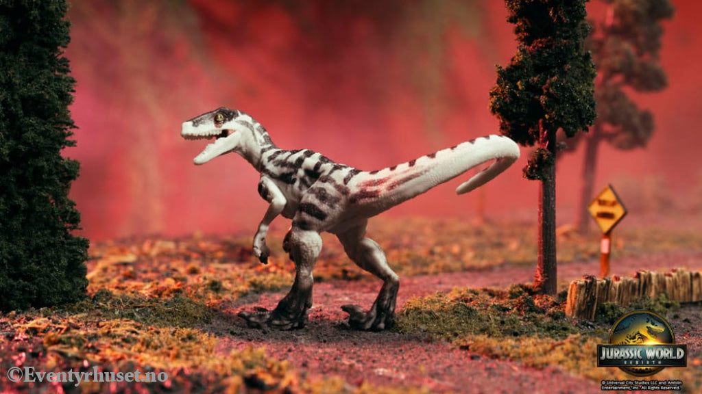 Jurassic World Rebirth Pop N Lock Breach Blind Box Captivz Build n Battle Dinos Display (12) Collectibles