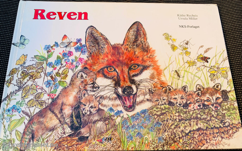Käthe Recheis & Ursula Miller. 1988/91. Reven. Fortelling