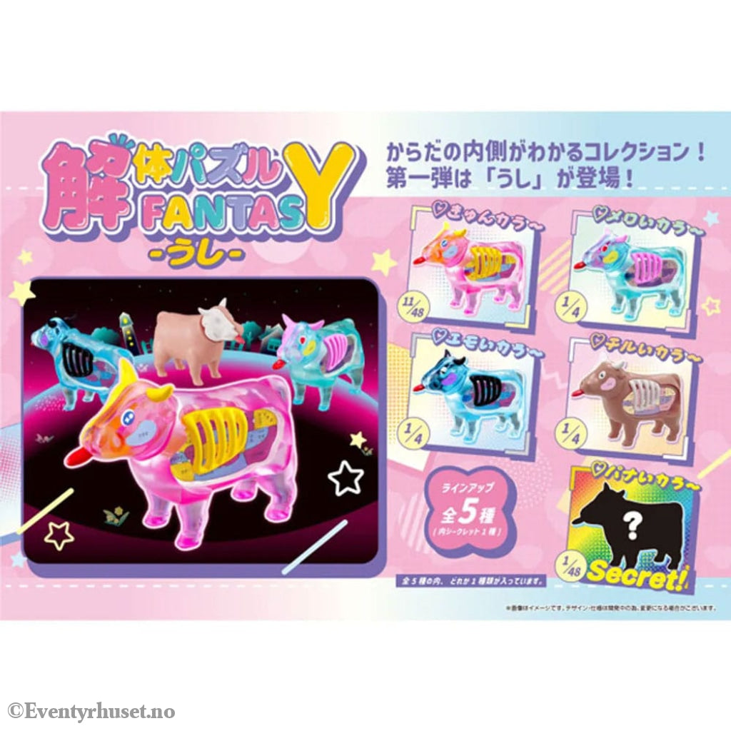 Kaitai Fantasy Minifigure 4-Pack Collection Beef 6 cm Manga & Anime