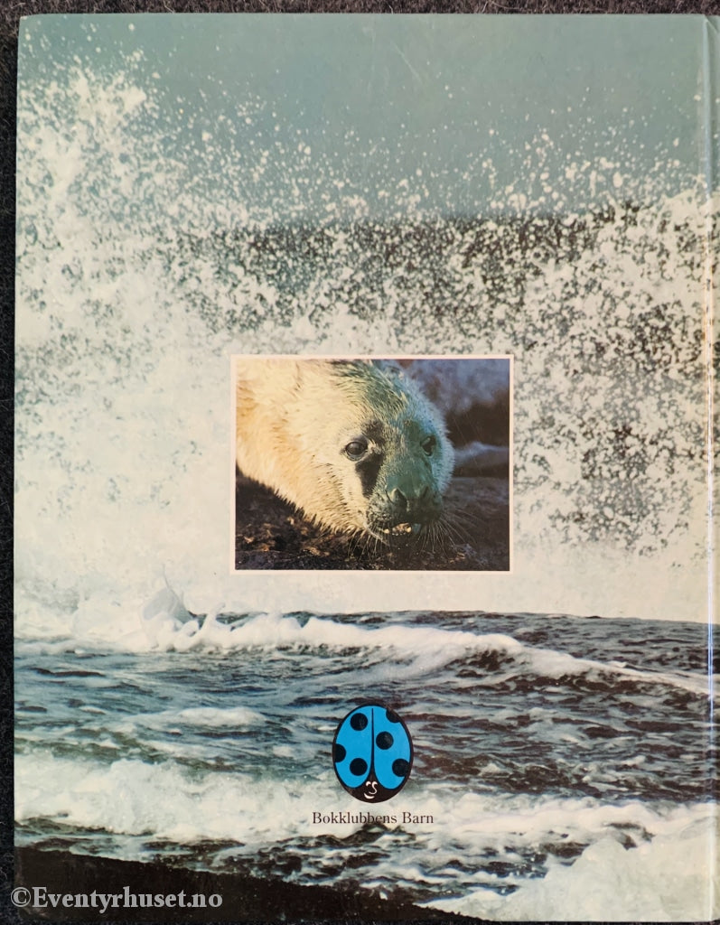 Karl Inne Ugland. 1985. Sommer Med Selene. Fortelling