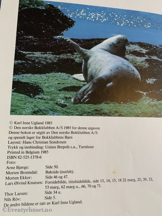 Karl Inne Ugland. 1985. Sommer Med Selene. Fortelling